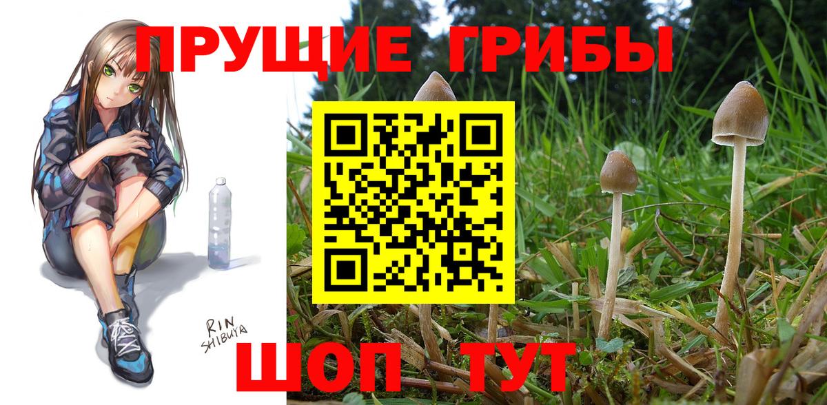 Галлюциногенные грибы GOLDEN TEACHER  Вход с VPN  Калуга 