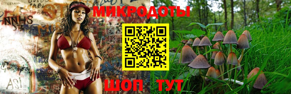 Галлюциногенные грибы MAGIC MUSHROOMS Калуга